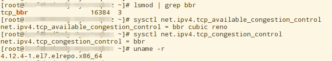 check_tcp_bbr_open